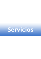 Servicios
