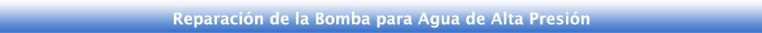PLECA_S2C